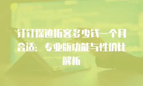 钉钉探迹拓客多少钱一个月合适：专业版功能与性价比解析