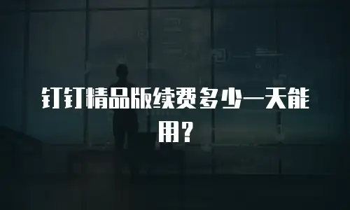 钉钉精品版续费多少一天能用？