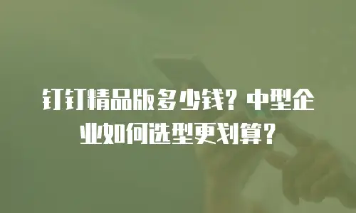 钉钉精品版多少钱？中型企业如何选型更划算？