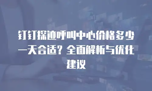 钉钉探迹呼叫中心价格多少一天合适？全面解析与优化建议