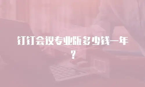 钉钉会议专业版多少钱一年？