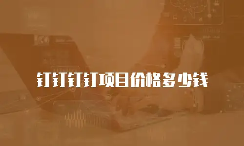 钉钉钉钉项目价格多少钱