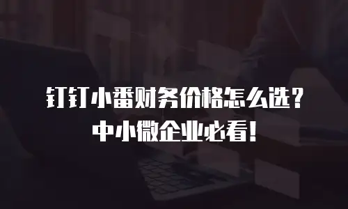 钉钉小番财务价格怎么选？中小微企业必看！