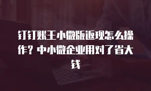 钉钉账王小微版返现怎么操作？中小微企业用对了省大钱
