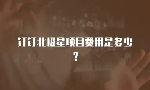 钉钉北极星项目费用是多少？