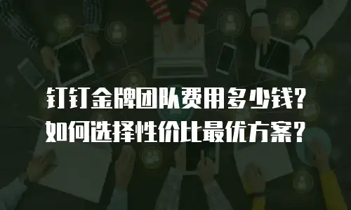 钉钉金牌团队费用多少钱？如何选择性价比最优方案？