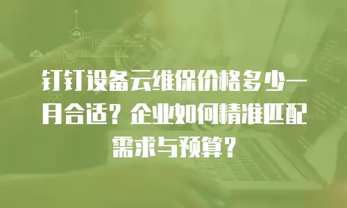钉钉设备云维保价格多少一月合适？企业如何精准匹配需求与预算？