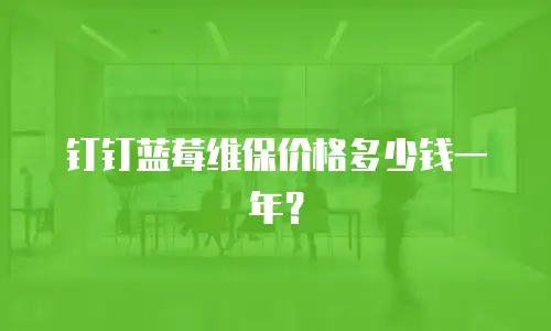 钉钉蓝莓维保价格多少钱一年？