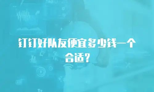 钉钉好队友便宜多少钱一个合适？