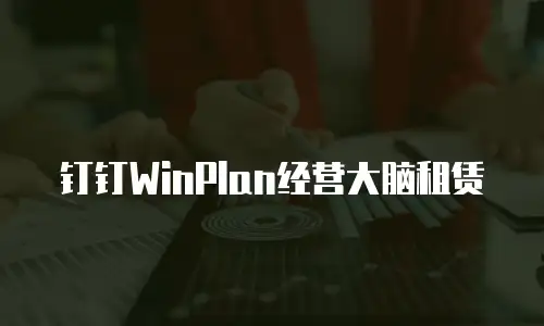钉钉WinPlan经营大脑租赁