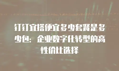 钉钉宜搭便宜多少套餐是多少包：企业数字化转型的高性价比选择