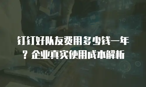 钉钉好队友费用多少钱一年？企业真实使用成本解析