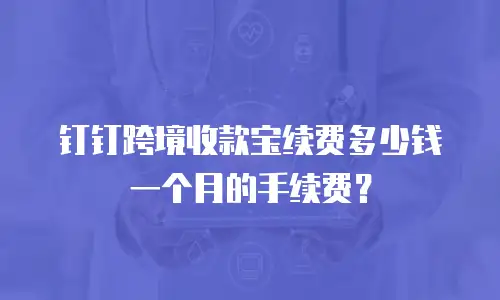 钉钉跨境收款宝续费多少钱一个月的手续费？