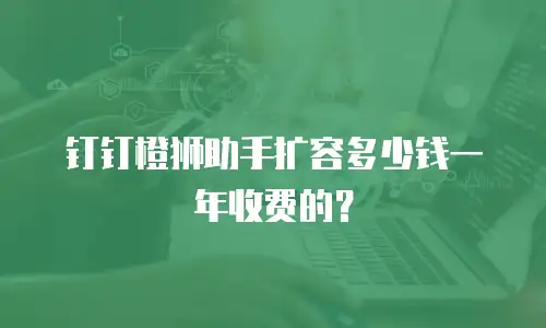 钉钉橙狮助手扩容多少钱一年收费的？