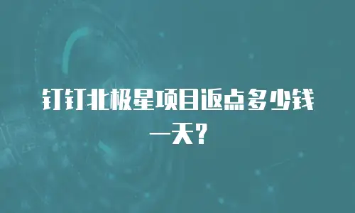 钉钉北极星项目返点多少钱一天？