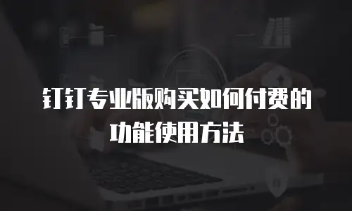 钉钉专业版购买如何付费的功能使用方法