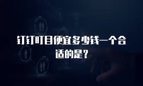 钉钉盯目便宜多少钱一个合适的是？