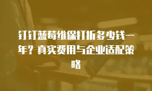 钉钉蓝莓维保打折多少钱一年？真实费用与企业适配策略