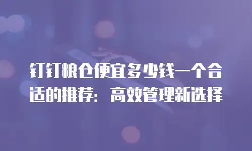 钉钉粮仓便宜多少钱一个合适的推荐：高效管理新选择