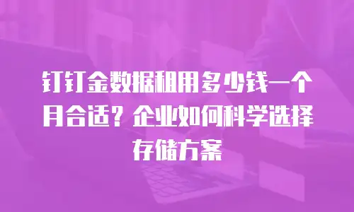 钉钉金数据租用多少钱一个月合适？企业如何科学选择存储方案