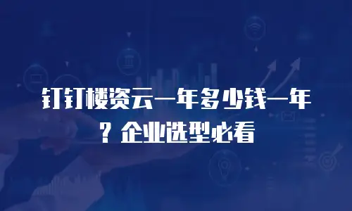 钉钉楼资云一年多少钱一年？企业选型必看
