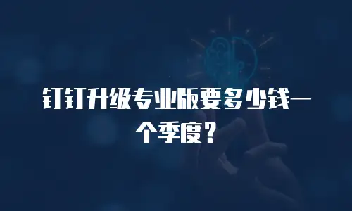 钉钉升级专业版要多少钱一个季度？