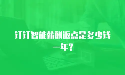 钉钉智能薪酬返点是多少钱一年？