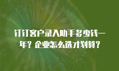 钉钉客户录入助手多少钱一年？企业怎么选才划算？