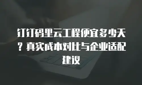 钉钉码里云工程便宜多少天？真实成本对比与企业适配建议
