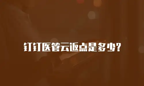 钉钉医管云返点是多少？