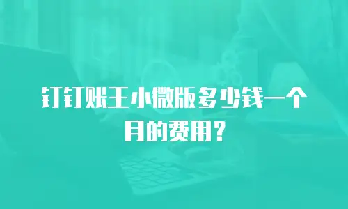 钉钉账王小微版多少钱一个月的费用？