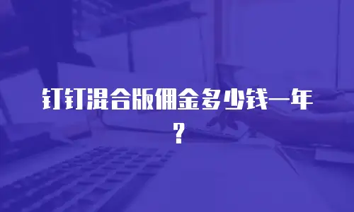 钉钉混合版佣金多少钱一年？
