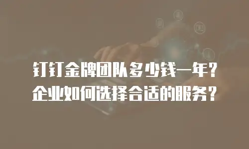 钉钉金牌团队多少钱一年？企业如何选择合适的服务？