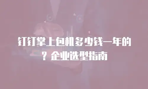 钉钉掌上包机多少钱一年的？企业选型指南