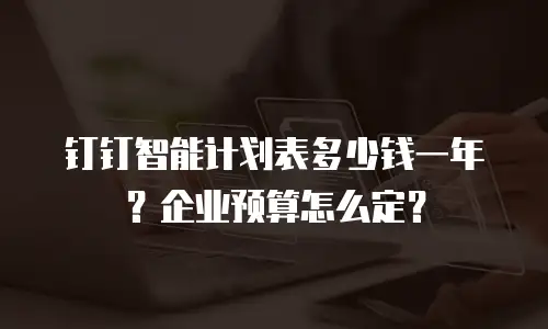 钉钉智能计划表多少钱一年？企业预算怎么定？