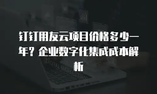 钉钉用友云项目价格多少一年？企业数字化集成成本解析