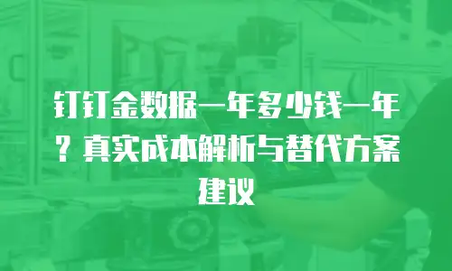 钉钉金数据一年多少钱一年？真实成本解析与替代方案建议