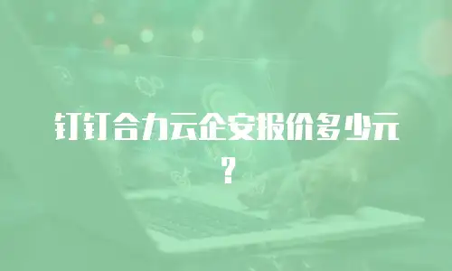 钉钉合力云企安报价多少元？