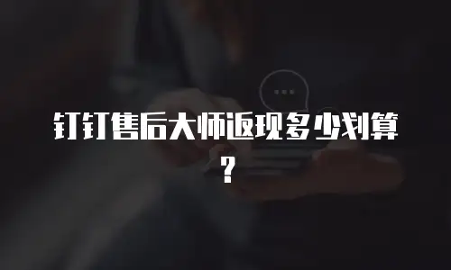 钉钉售后大师返现多少划算？