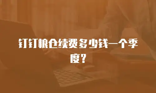 钉钉粮仓续费多少钱一个季度？