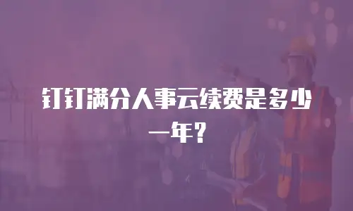 钉钉满分人事云续费是多少一年？