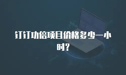 钉钉功倍项目价格多少一小时？
