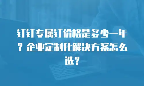 钉钉专属钉价格是多少一年？企业定制化解决方案怎么选？