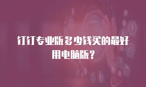 钉钉专业版多少钱买的最好用电脑版？