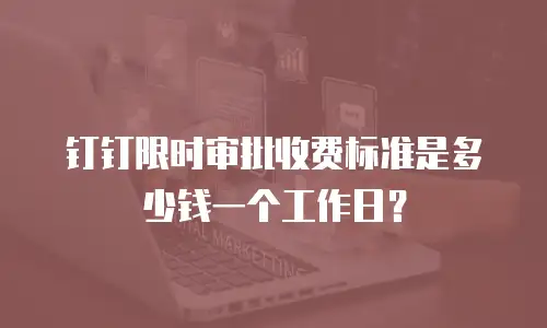 钉钉限时审批收费标准是多少钱一个工作日？