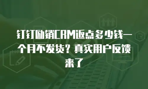 钉钉励销CRM返点多少钱一个月不发货？真实用户反馈来了