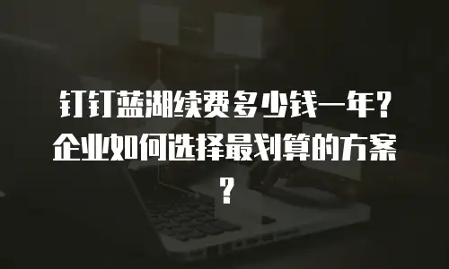 钉钉蓝湖续费多少钱一年？企业如何选择最划算的方案？