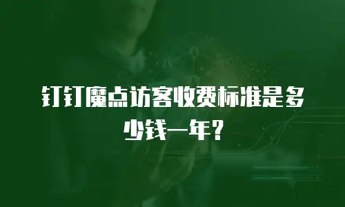 钉钉魔点访客收费标准是多少钱一年？