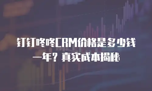 钉钉咚咚CRM价格是多少钱一年？真实成本揭秘