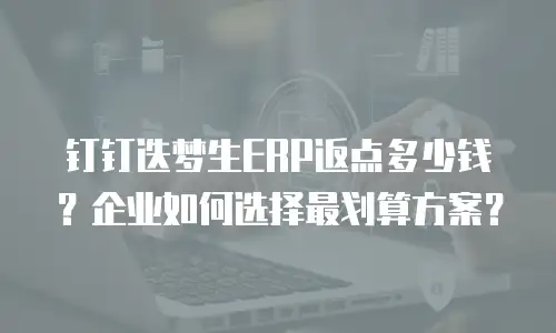钉钉迭梦生ERP返点多少钱？企业如何选择最划算方案？